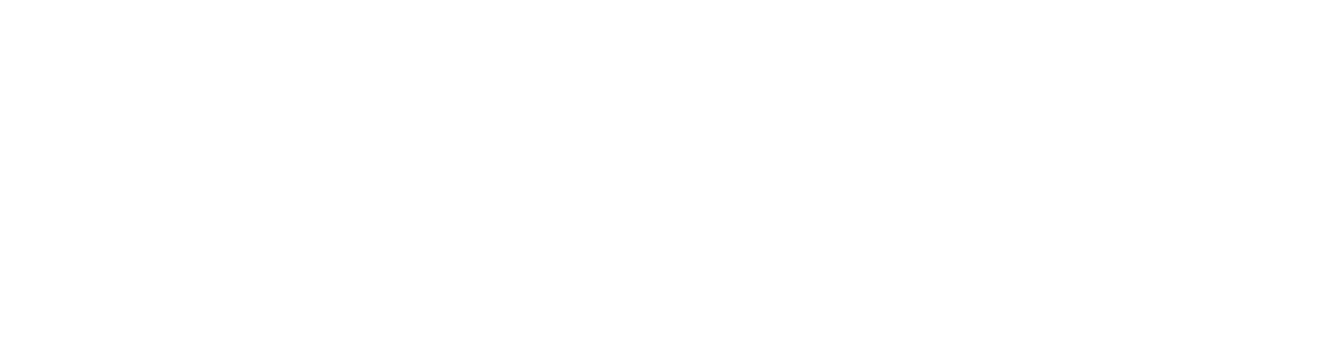 Wholster app logo